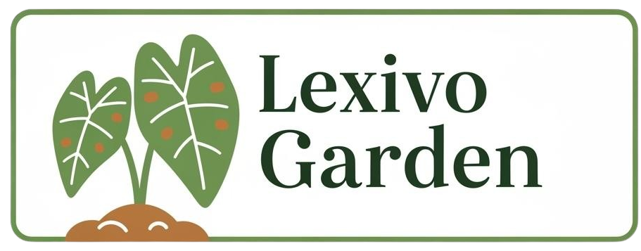 Lexivo Garden